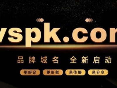 重启百万价值域名承载武易未来二十年----VSPK.COM