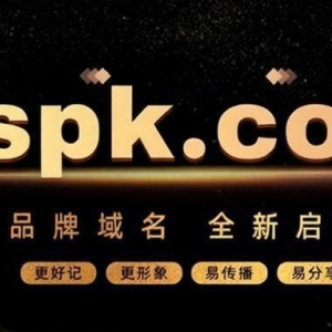 重启百万价值域名承载武易未来二十年----VSPK.COM